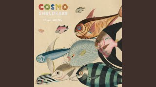 Video-Miniaturansicht von „Cosmo Sheldrake - Come Along (Edit)“