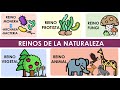 Los reinos de la naturaleza (Características y ejemplos)