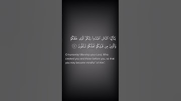 من آيات القرآن الكريم.                              From the verses of the Holy Quran