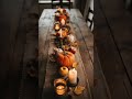 Thanksgiving Tablescape Ideas 🦃 All images from Pinterest #thanksgiving #homedecor #farmhouse