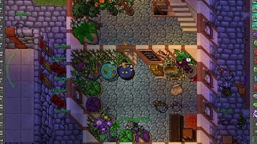 🔴 Tibia PVP & PVE Live Stream