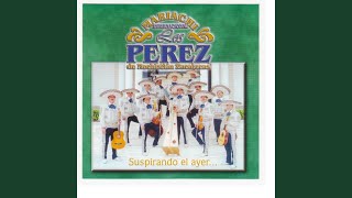 Video thumbnail of "Mariachi Internacional Los Perez - El Alegre"