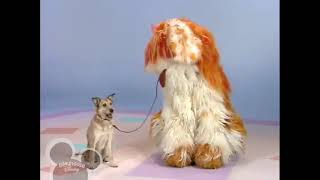 Elmos World - Barkleys Appearance Dogs Playhouse Disney Broadcast