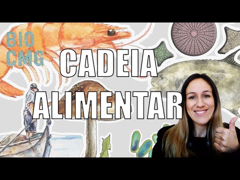 Cadeia Alimentar - Entenda como é o fluxo de energia nos ecossistemas