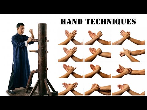 Wing Chun Hand Techniques | ip man