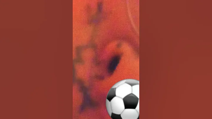 siiiii