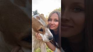 АЛАБАЙ - ОПАСНАЯ ПОРОДА! Не суди по обложке… #алабай #волкодав #dog #alabai