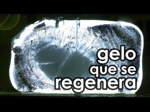 O gelo que se regenera (EXPERIÊNCIA)