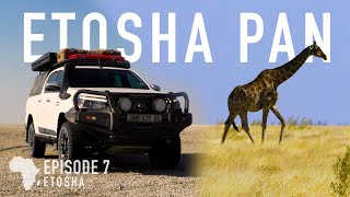 Etosha Pan from West to East: Namibia's Wildlife Hotspot | Grand Tour of Southern Africa, pt.7