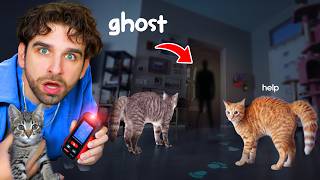 My Kittens FOUND a GHOST In My House... (Haunted)