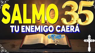 DESCUBRE EL PODER DEL SALMO 35: TU ESCUDO PROTECTOR CONTRA TODOS TUS ENEMIGOS