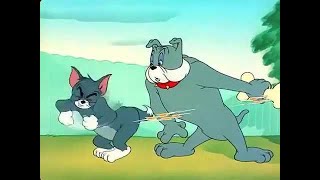 Tom And Jerry The Framed Cat 1950