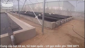 Hồ lót bạt nuôi cá