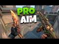 Pro Aim + Brain AFK - Valorant
