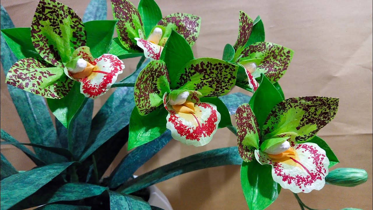 Cara Membuat Bunga Anggrek Cyimbidium Hijau dari Kantong Plastik Kresek