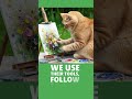 AI Thinks, Cats Rule