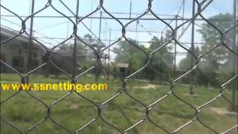 zoo animal cage mesh, zoo wire rope netting, zoo fence enclosure, zoo cage covered mesh