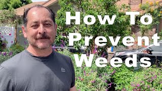 How To Prevent Weeds From Growing