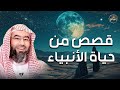 نبيل العوضي قصص من حياة الأنبياء بتفاصيل رائعة ستعيد سماعها أكثر من مرة 
