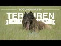 TERVUREN: ALL ABOUT HERDING