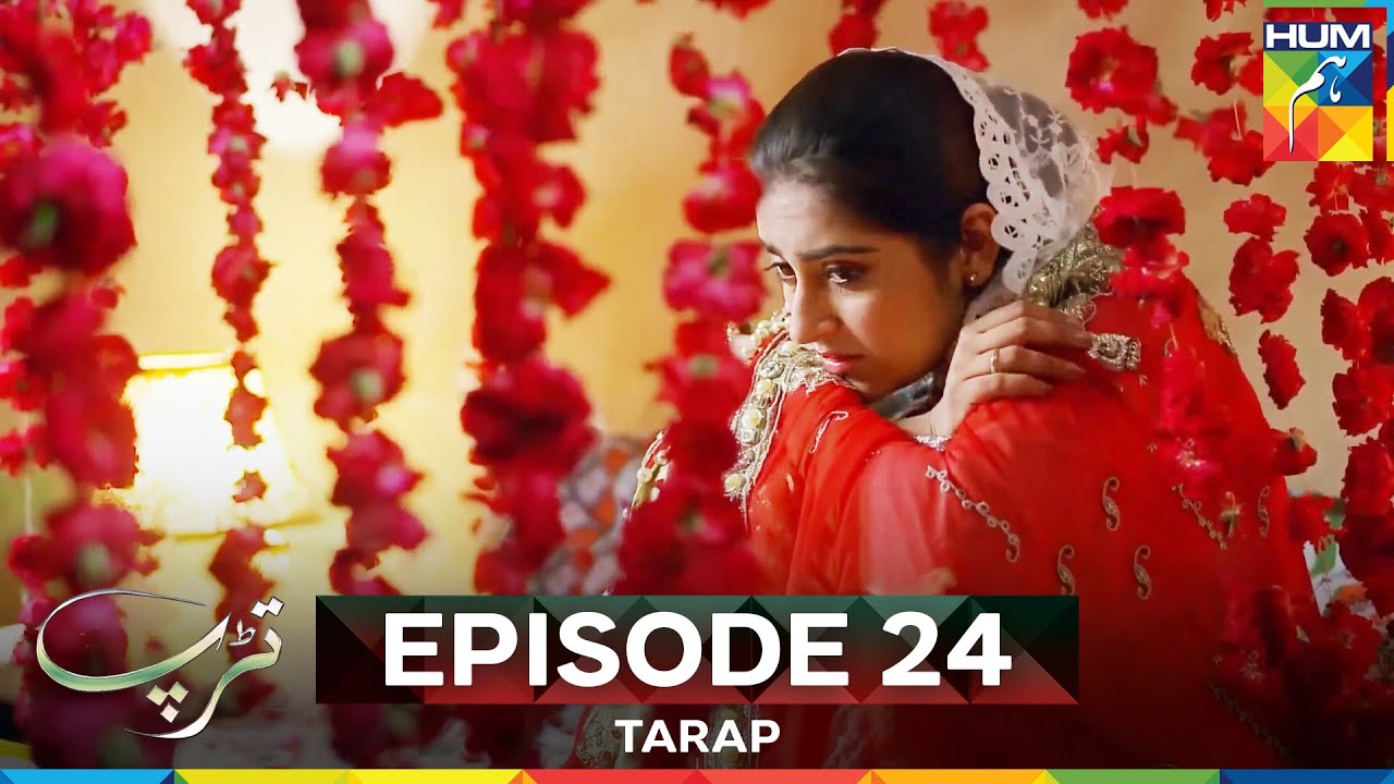 Tarap Episode 24