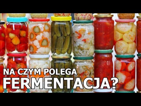 Na czym polega FERMENTACJA? To dzięki niej od wieków produkujemy chleb, piwo, jogurt czy kimchi!