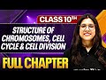 STRUCTURE OF CHROMOSOMES CELL CYCLE AND CELL DIVISION One Shot ( Theory + PYQs ) Class 10 ICSE Board
