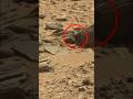 Mars Rover Curiosity Sol 0326 ๐ธ