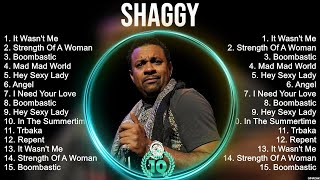 Shaggy Greatest Hits ~ Best Songs Of 80s 90s Old Music Hits Collection