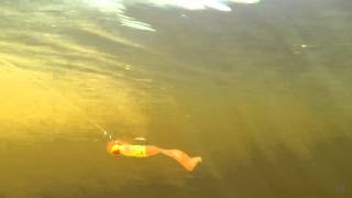 Mann's HardNose Curl Tail Grub 3''