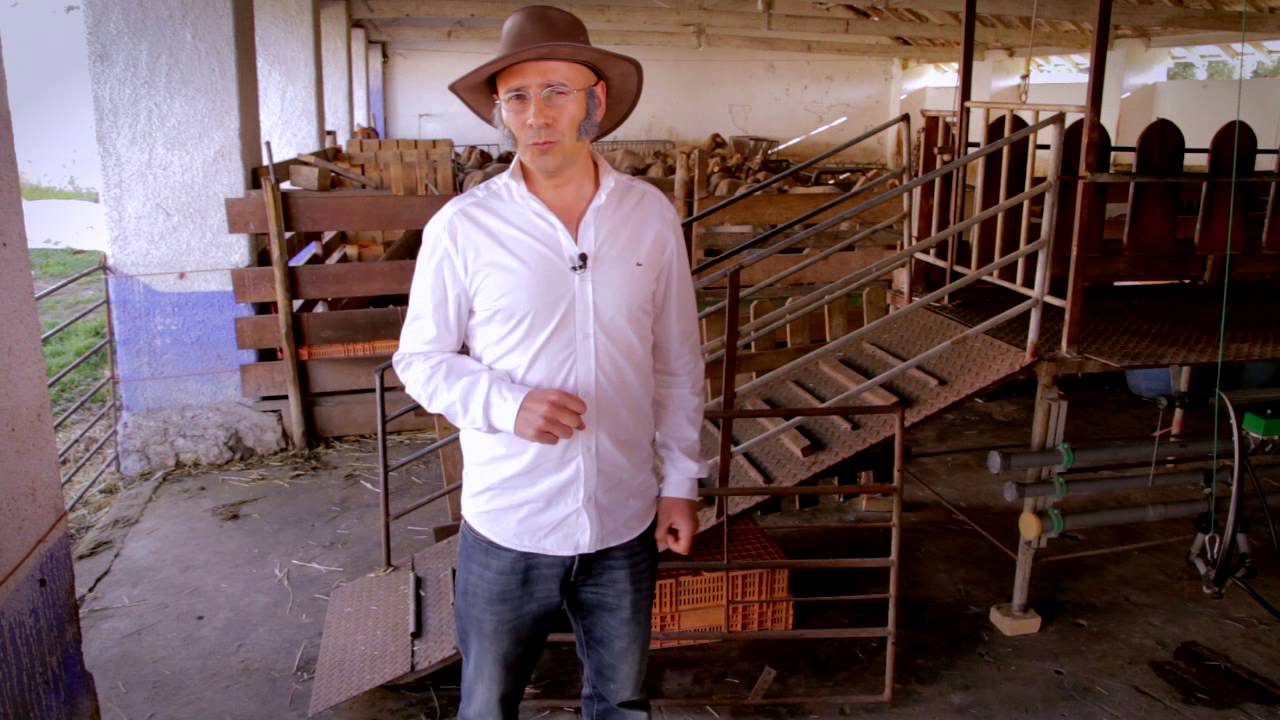 Isto é Matemática T04E04 É Aquela Base