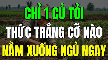4 Bí Quyết Ngủ Cực Ngon Chỉ Với 1 Củ Tỏi, Người Bị Mất Ngủ Nhất Định Không Được Bỏ Qua