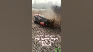 Factory direct sales low price buy online remote controlled multi-functional multitask vehicle