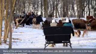 Sleigh Rides at The Farm at Walnut Creek