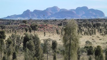 A password manager in action (1Password)