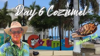 MSC Seashore Day 6 Cozumel #cruiseship #msccruises #cruisevloggers #familytravel #cruise
