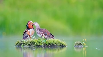 قرآن كريم (الجزء الثلاثون 4 p)