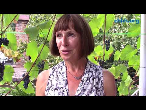 ამერიკის ელჩი ხარაგაულის საპატიო მოქალაქესთან