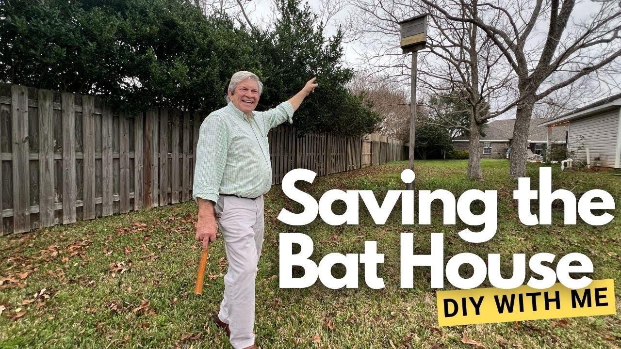 Bat House Rescue: Repairing & Prepping for Spring 2026