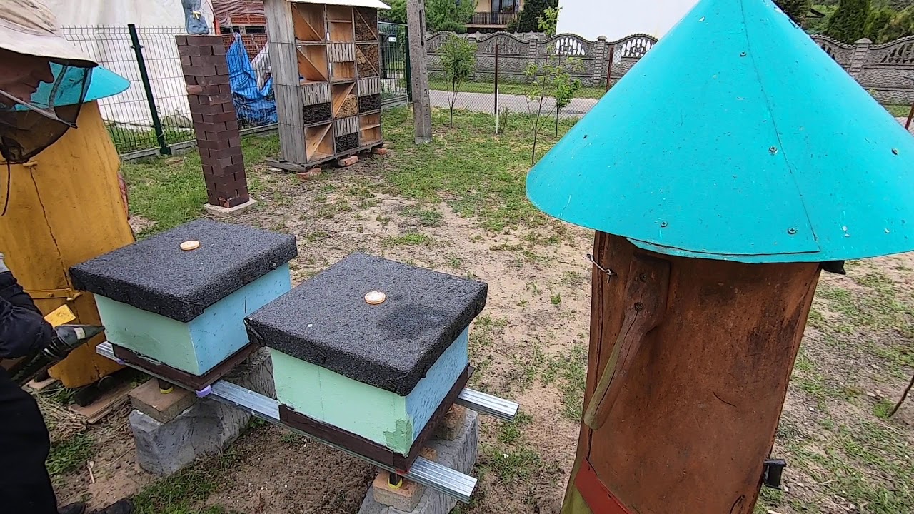 Matki pszczele Stanisław Jurczak Christian Merkury część 15