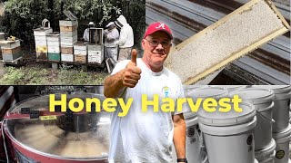 How We Harvest Honey (Hive to Bucket) | Beekeeping with Bruce