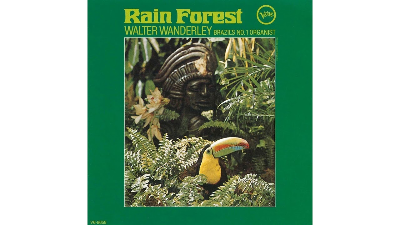Haaa the Rainforest