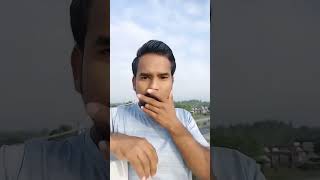 This Is Too Much Fun Lol