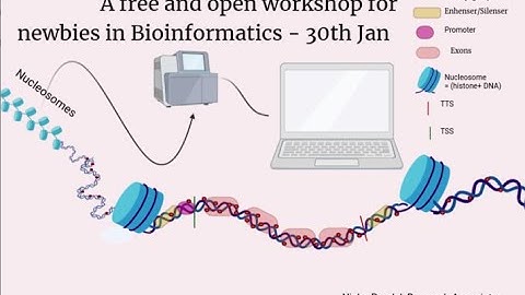Bioinformatics Workshop, Jan 30 2022  - First part