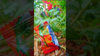 Sharing 🍓🍒 Mixed Fruit  Candy With Ants -53 #shorts #eating #food