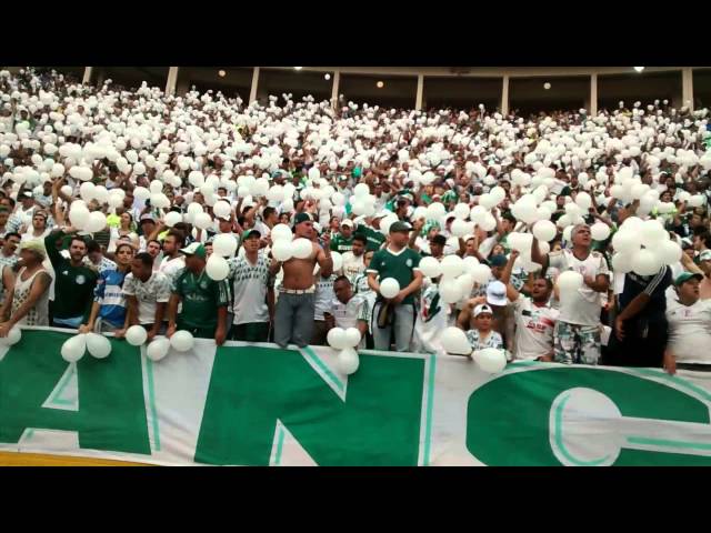 Mancha Verde Ribeirão Preto - 🎶SOMOS A MANCHA VERDE A MAIS TEMIDA,SIGO O  MEU PALMEIRAS POR TODA VIDA VAMOS JOGAR COM RAÇA OS JOGADORES VAMO AÊÊ  ESTAREMOS A PARTIR DAS 10 HORAS