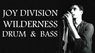 Joy Division Wilderness | Drum & Bass | @TheInterlude
