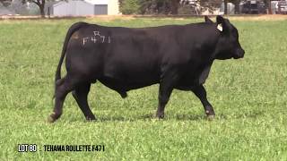 Lot 80  Tehama Roulette F471