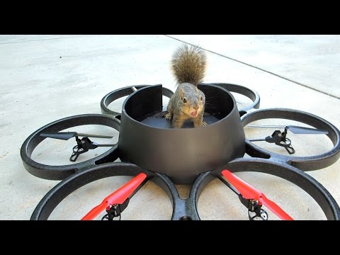 Squirrel Steals Drone
