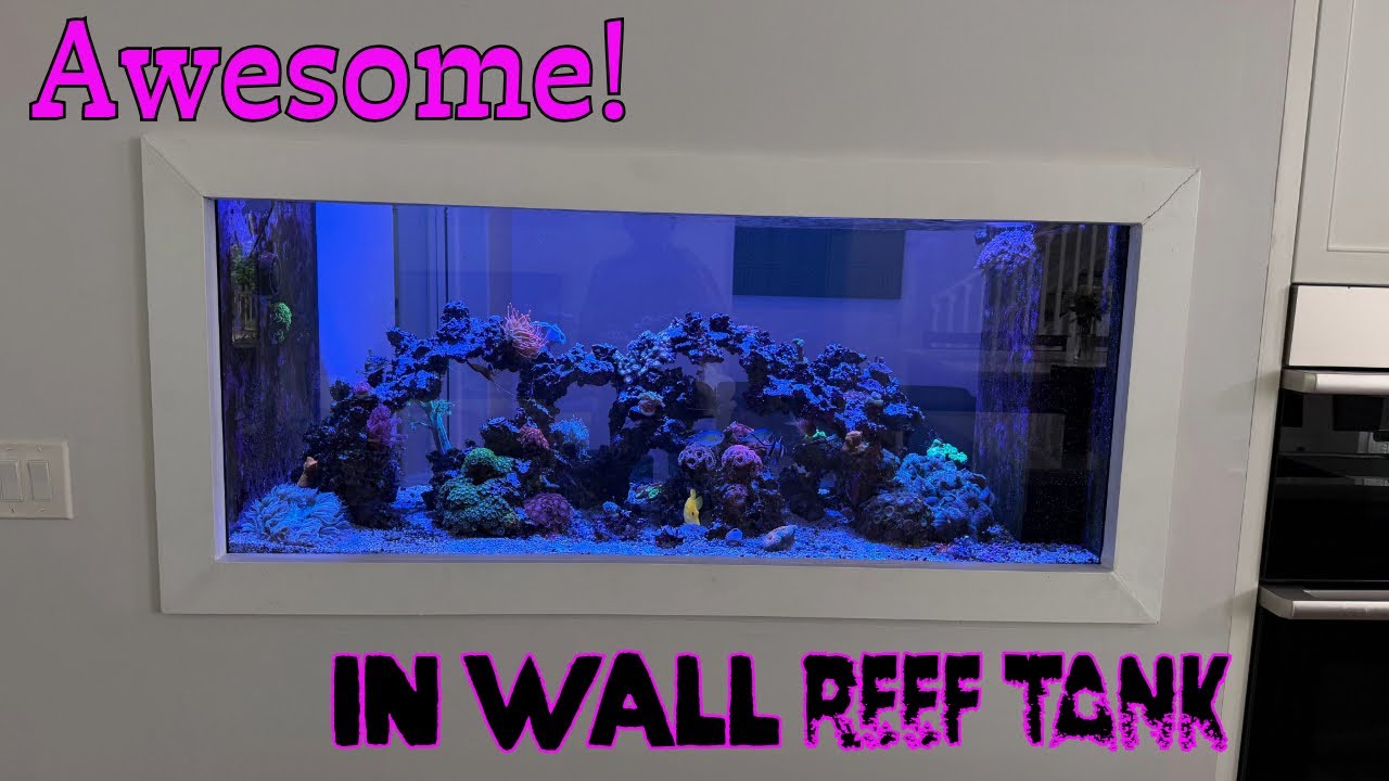 Coral Reef Tank 